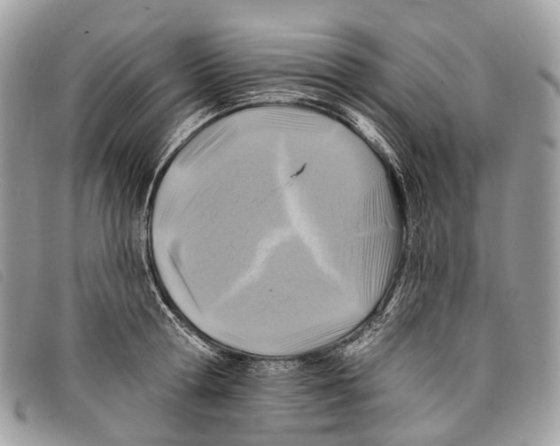 X0000097830802200804111038