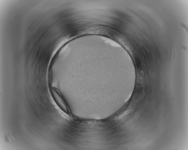 X0000097830803200804111038