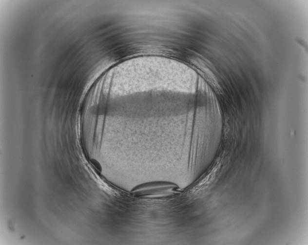 X0000097830804200804111038