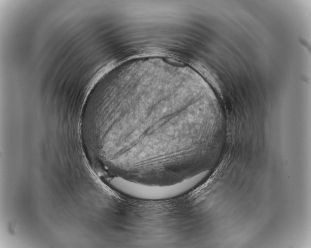 X0000097830805200804111038