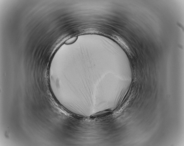 X0000097830806200804111038