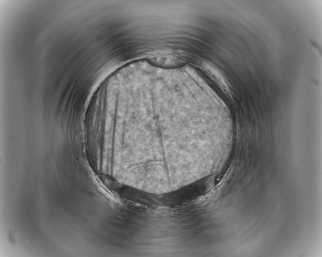 X0000097830808200804111038