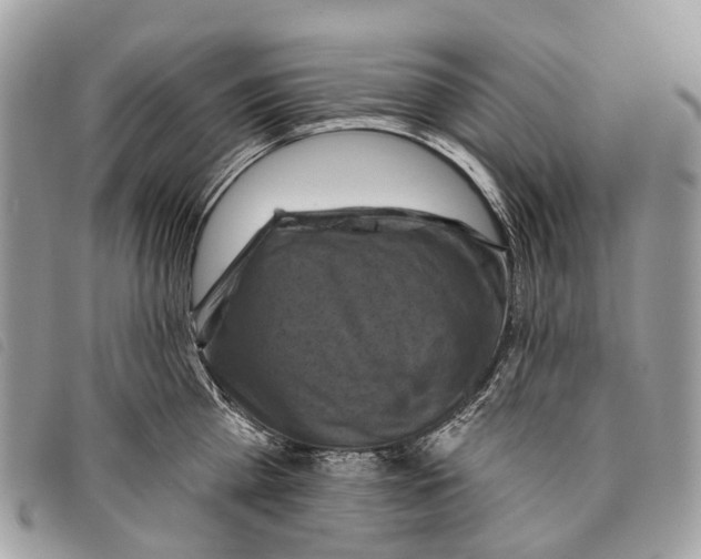 X0000097830809200804111038