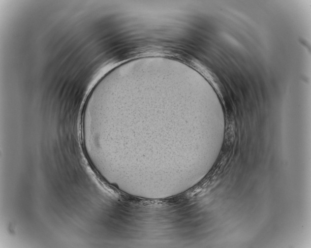 X0000097830811200804111038