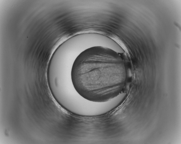 X0000097830813200804111038