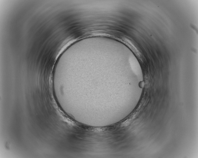 X0000097830814200804111038