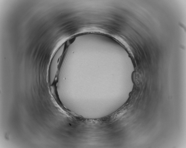 X0000097830815200804111038