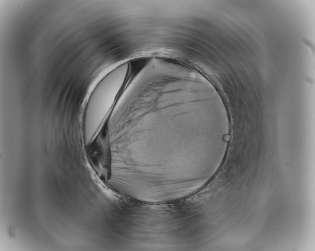 X0000097830816200804111038