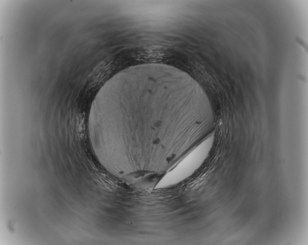 X0000097830818200804111037