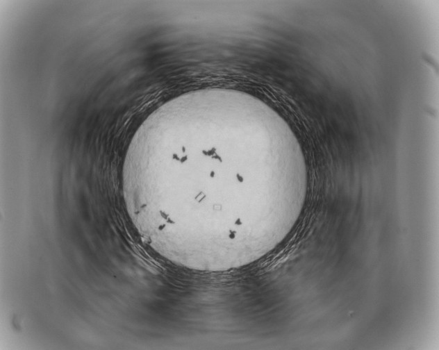 X0000097830820200804111037