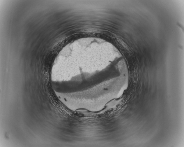 X0000097830821200804111037