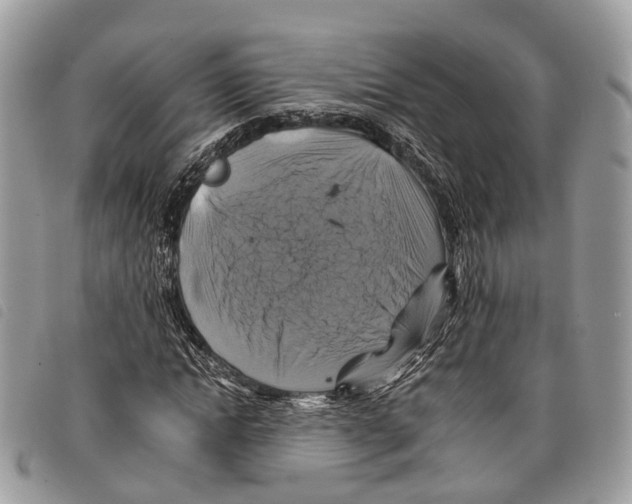 X0000097830822200804111037