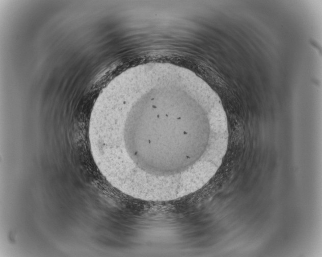 X0000097830824200804111037