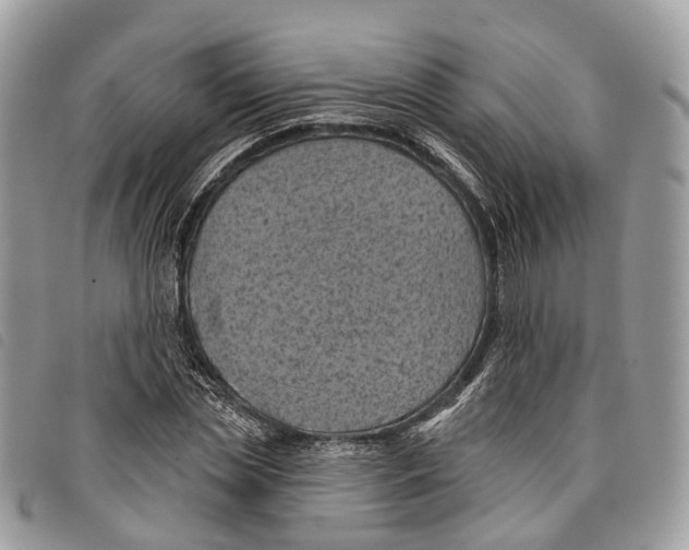 X0000097830829200804111037