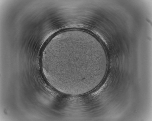 X0000097830830200804111037