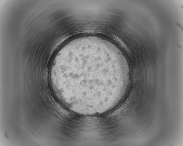 X0000097830831200804111037