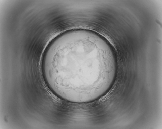 X0000097830832200804111037