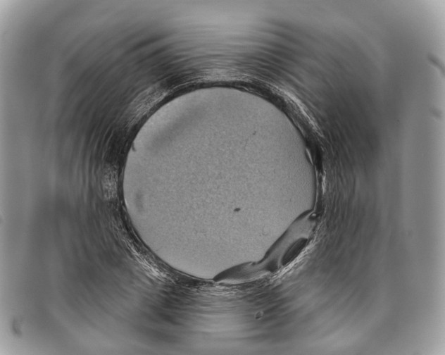 X0000097830833200804111037