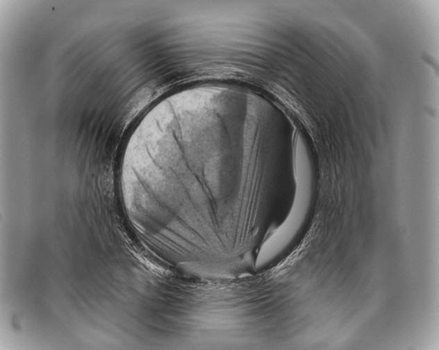 X0000097830834200804111037