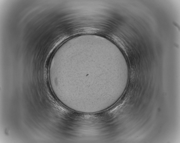 X0000097830835200804111037