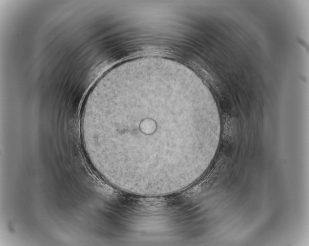 X0000097830836200804111037