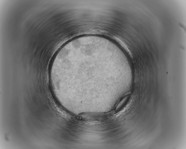 X0000097830837200804111037