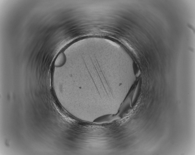 X0000097830838200804111037