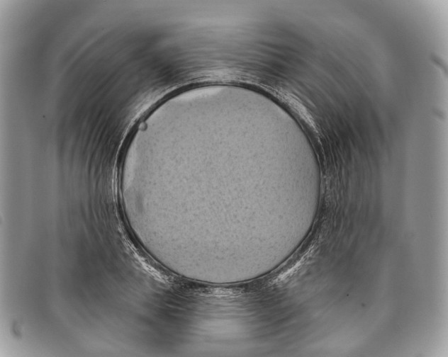 X0000097830839200804111037