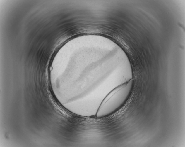 X0000097830840200804111037