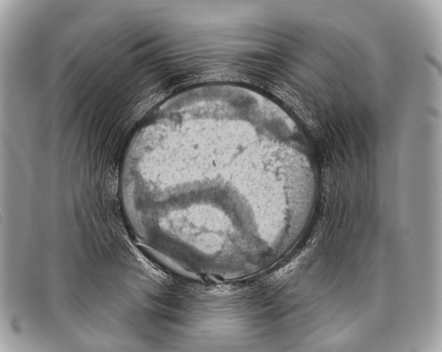 X0000097830841200804111037