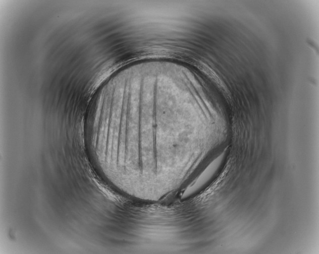 X0000097830842200804111037