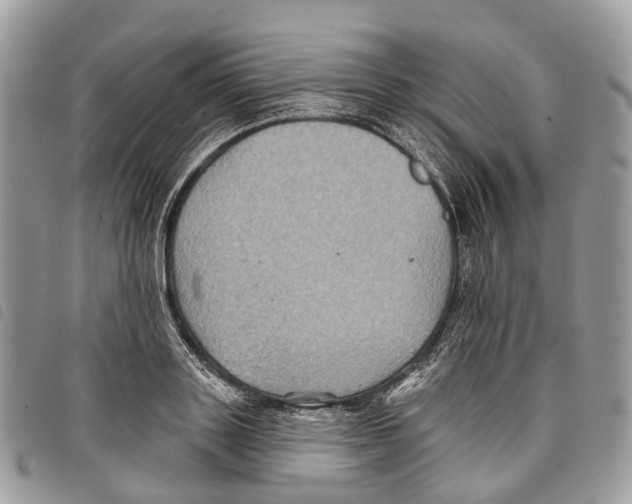 X0000097830843200804111037