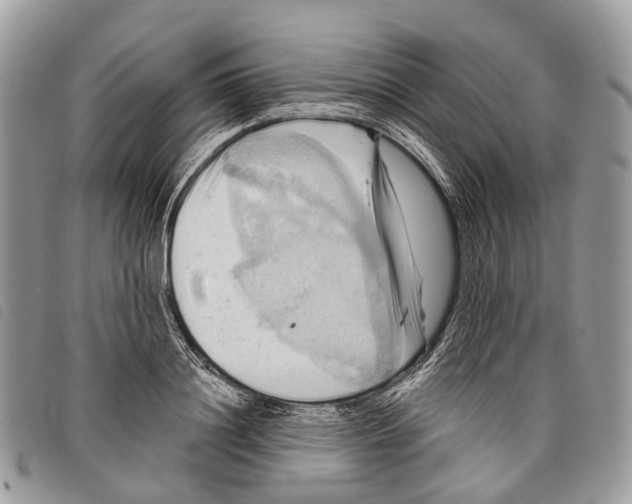 X0000097830844200804111037