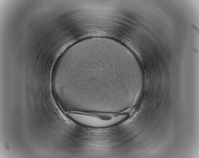 X0000097830845200804111037