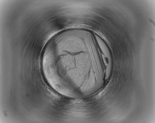 X0000097830846200804111037