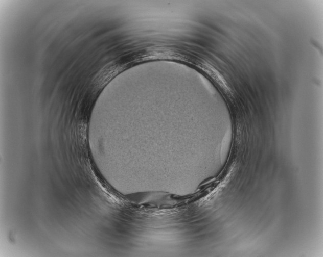 X0000097830849200804111037