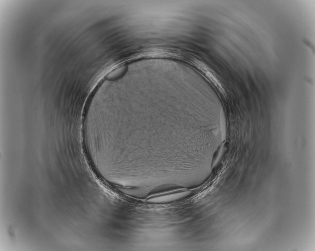 X0000097830853200804111037