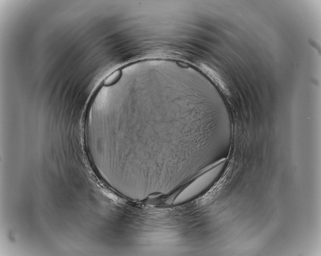 X0000097830854200804111037