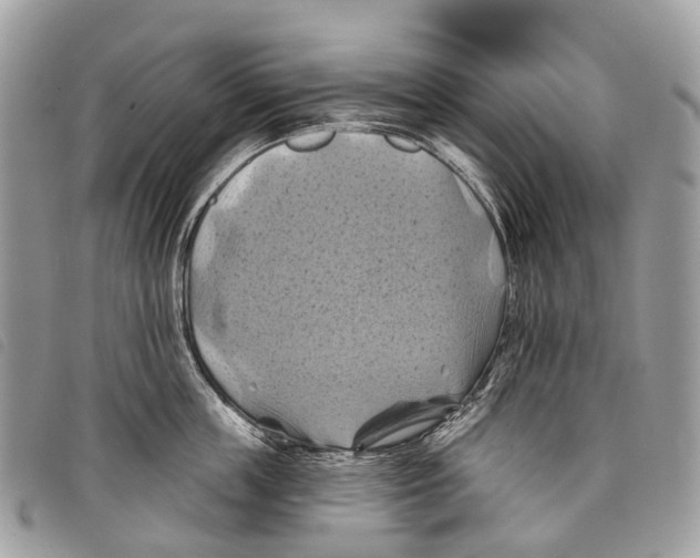 X0000097830859200804111038