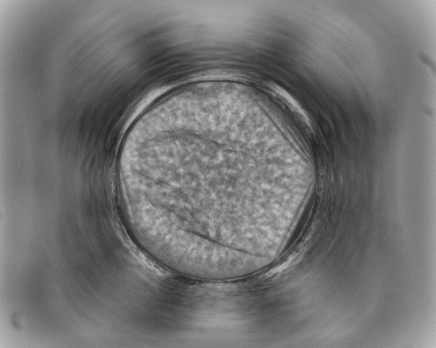 X0000097830860200804111038