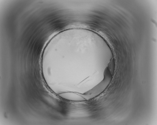 X0000097830864200804111038