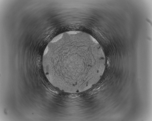 X0000097830867200804111037