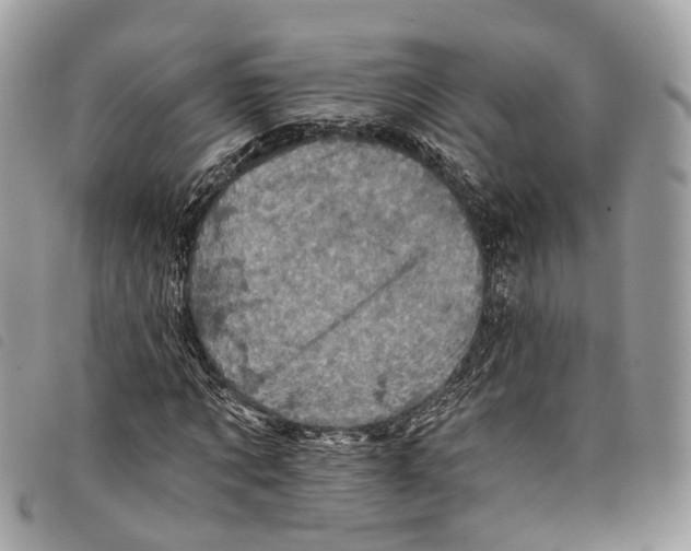 X0000097830869200804111037