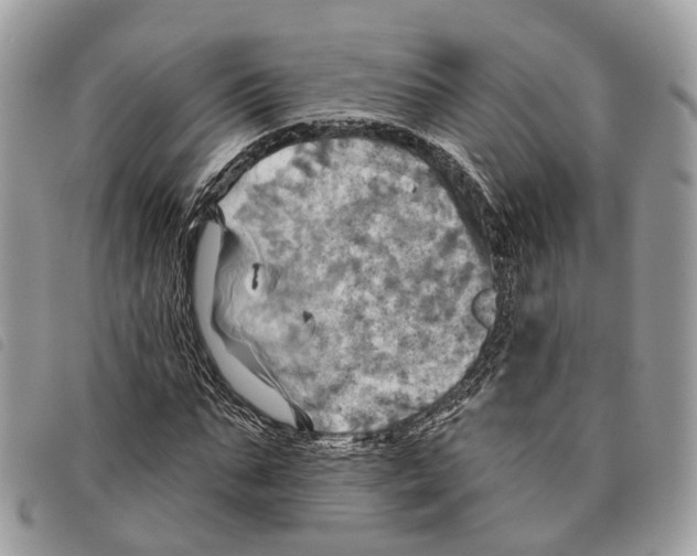 X0000097830871200804111037