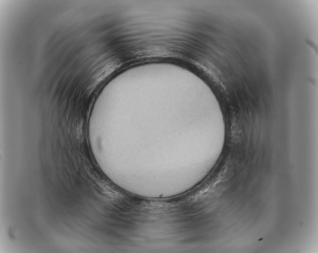 X0000097830873200804111037