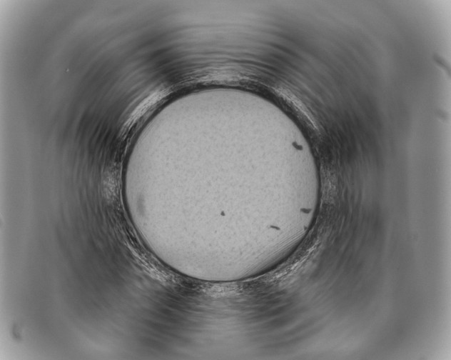 X0000097830874200804111037