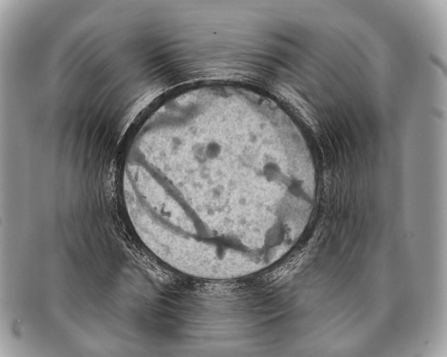 X0000097830875200804111037