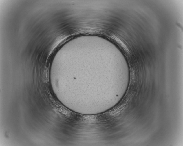 X0000097830878200804111037