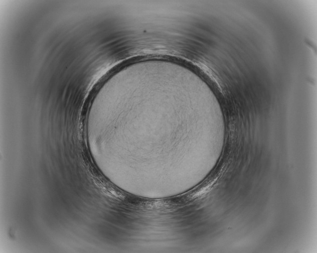 X0000097830879200804111037