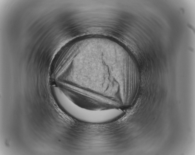 X0000097830880200804111037